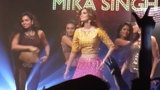 Diana Penty’s Hot Song From Happy Bhag Jayegi
