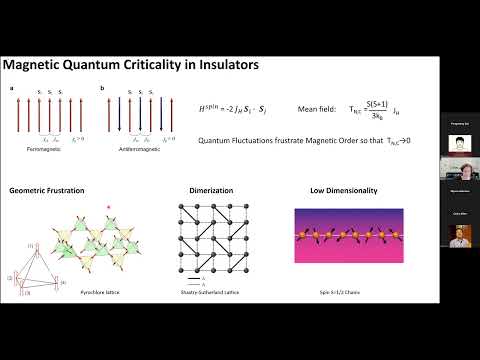 RCQM/FCMP: Meigan Aronson: Towards One Dimensional Heavy Fermions