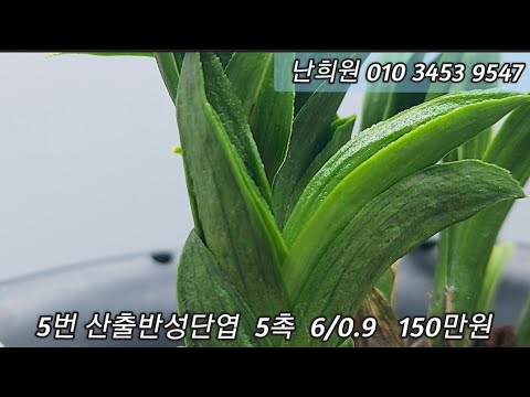 유튜브 썸네일
