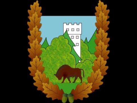 Niech popatrzy, kto nie wierzy. Kanapowy w Białowieży.