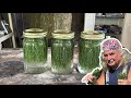 PINE NEEDLE Soda How To Make Sprite From Pine Needles