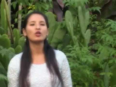 Kikim Simte - Khualzinna gam