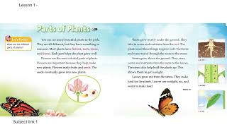 Subject Link 1 - Chapter 1 - Flower