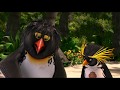 Let S Do Some Training Full Scene Surf S Up 10 BitC Full HD