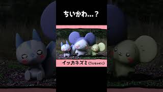 ちいかわ...？