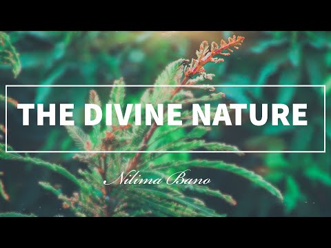 The Divine Nature - by Nilima Bano | HD Cinematic Film | Breathtaking Beauty Of Nature | 2020 |