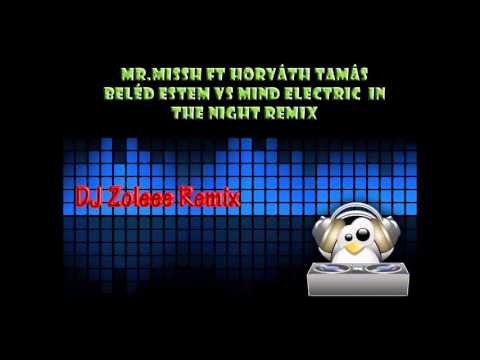 MR.Missh Feat Horváth Tamás Beléd estem Vs Mind Electric Remix In The Night