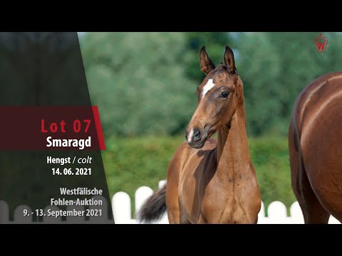 Fohlen-Auktion Lot 07 Smaragd Hengst v. Secret - Diamond Hit