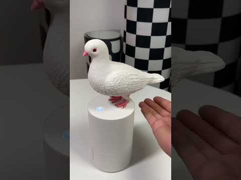 Amazon finds gadgets #kitchen #shop #shopping #hack are #home #house #decor have #viral #reels