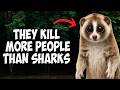 Ranking The Top 6 Most DECEPTIVE Deadly Animals