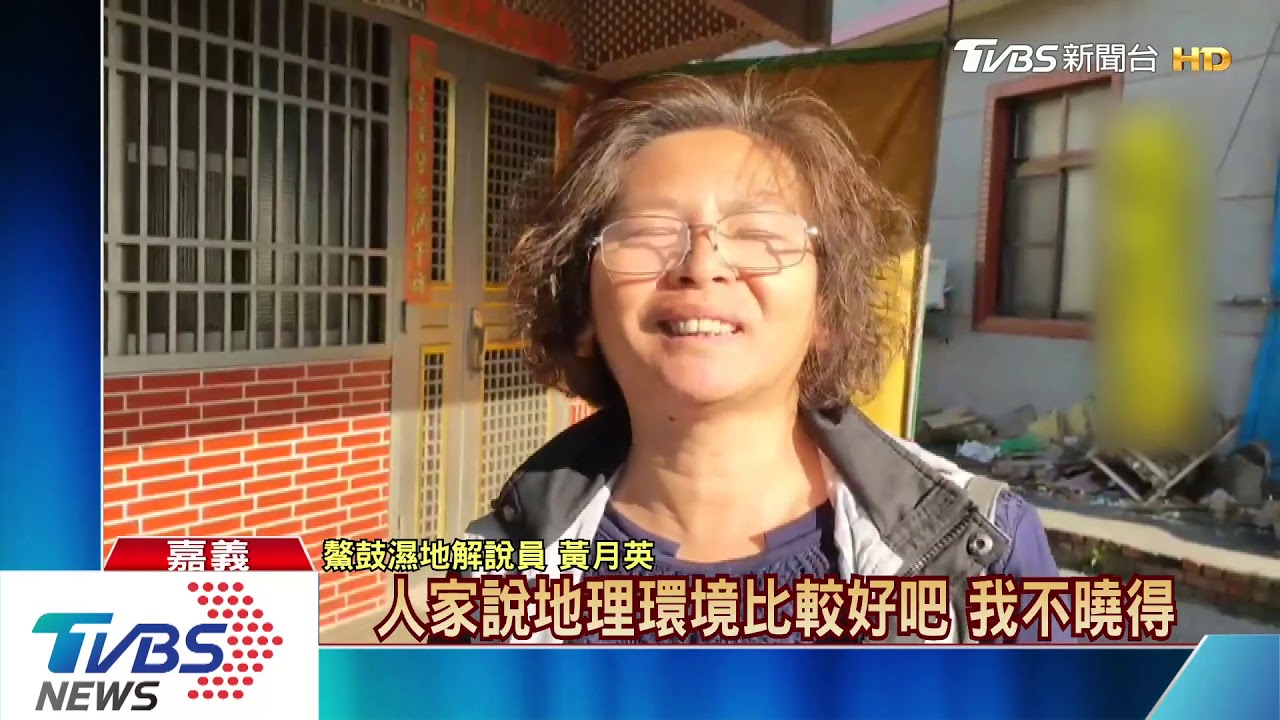 「密集恐懼」勿看! 上千隻家燕聚鰲鼓溼地