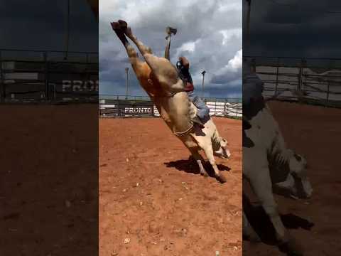 TREINO DE RODEIO DO COMPETIDOR "PABLO SOARES"