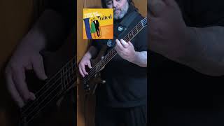 &quot;Ain´t No Mountain High Enough&quot; Marvin Gaye &amp; Tammi Terrell #aintnomountainhighenough #basscover