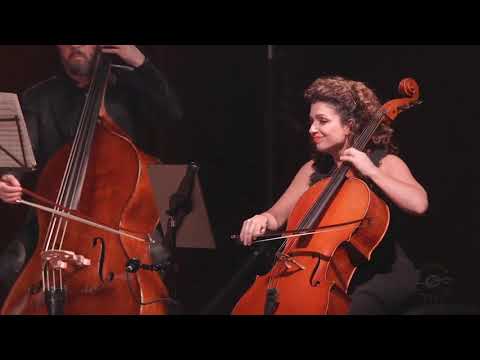 Concerts@Home, Episode 36 — Beethoven