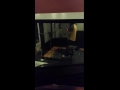 Mike Strauss Band at Old House Studio, 2016, Pt.2