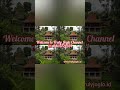 Balinese Yoga Of Kimaya Retreats Shorts Joglo Limasan Modification Woodworking Project
