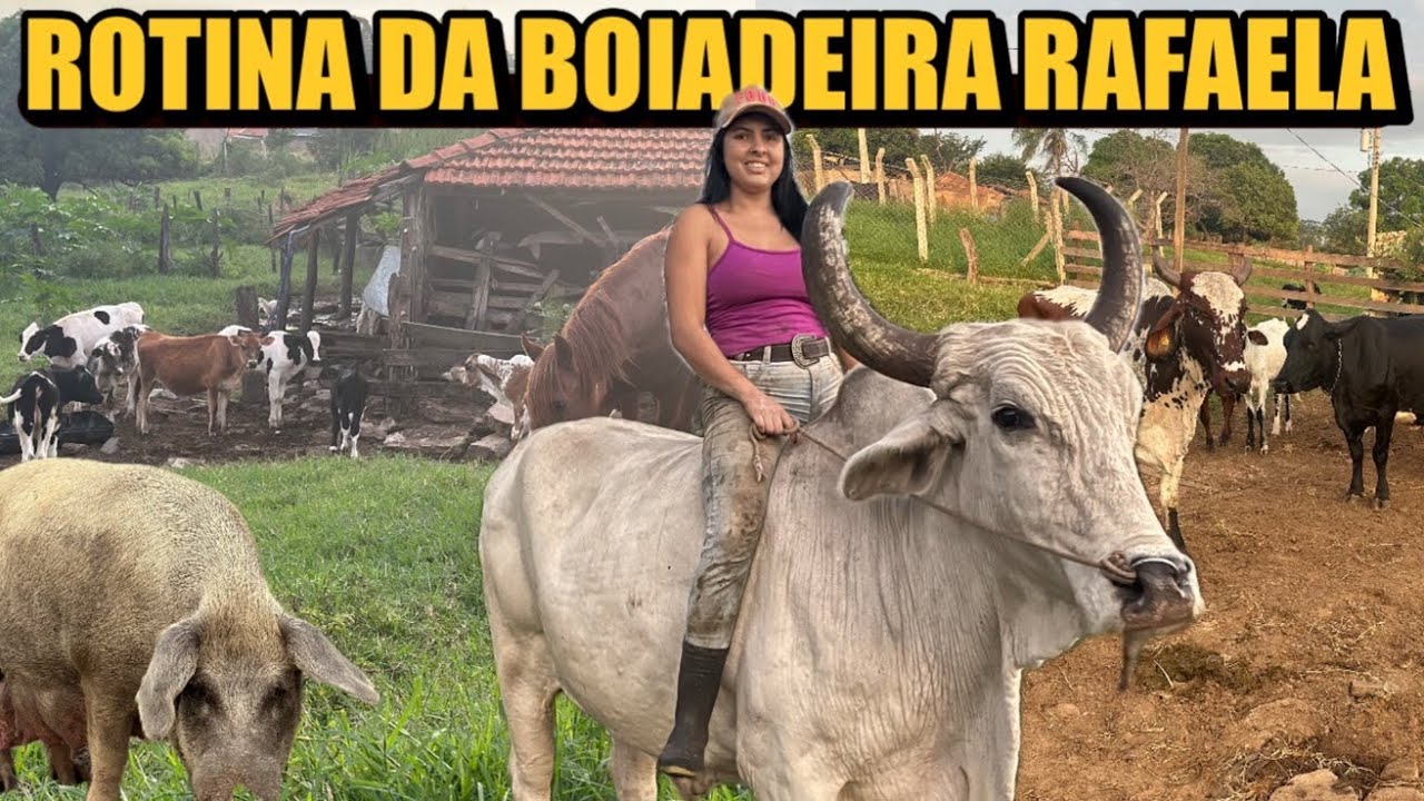 A JOVEM VAQUEIRA JÁ TEM ENORME REBANHO