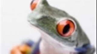 music video: princes and frogs by superchick