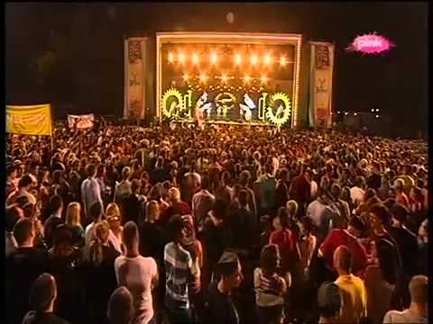 Guca 2014 Orkestar Marka Gligorijevica