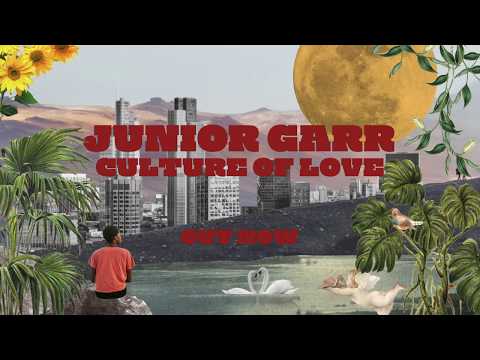 Thumbnail for Culture of Love video