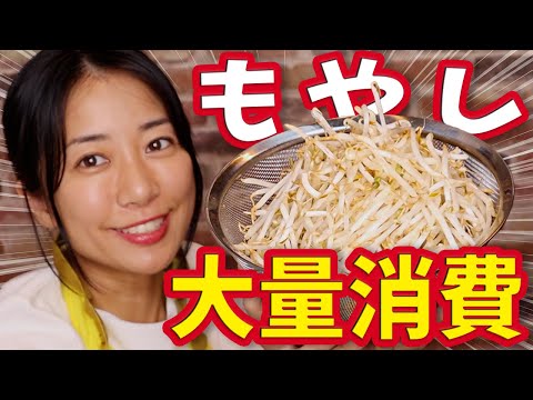 もやし大量消費レシピ3品（ナムル・肉豆腐・お好み焼き）