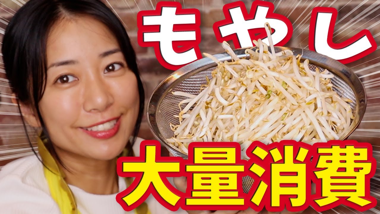 もやし大量消費レシピ3品(ナムル・肉豆腐・お好み焼き)