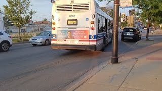 CTA Bus Ride 77 Belmont From Central to Lamon Nova LFS 2025 #8867 