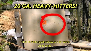 20 Ga. Heavy Hitting Buckshot (Part 2) #1 &amp; #0 Range Tests!