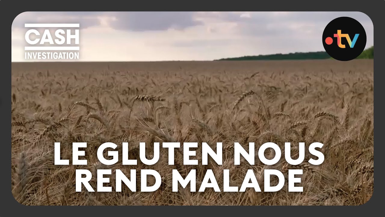 Gluten : notre blé est-il devenu indigeste ? - Cash investigation