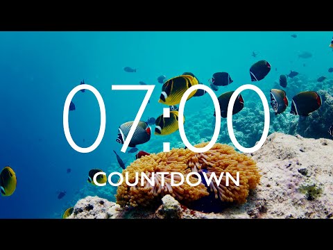 7 Minute Timer with Relaxing Music and Alarm 🎵 ⏰