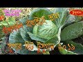 PURULIA SUPER HIT TUSU VIDEO