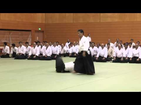 Japan - 11th International Aikido Federation Congress in Tokyo - Demonstrations