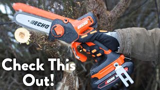 See The New ECHO 56V Mini Chainsaw Put To The Test!