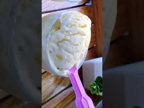 Icecream 🍨🍨🍦 #ytshorts #shorts #todaysviralreels #vanilla  #icecream #homemade  #ritwika #summer