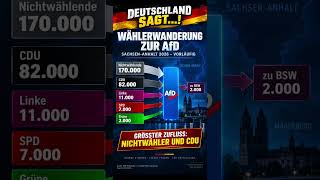 170.000 Nichtwähler und 82.000 CDU-Wähler wechselten zur AfD #AfD #Sac