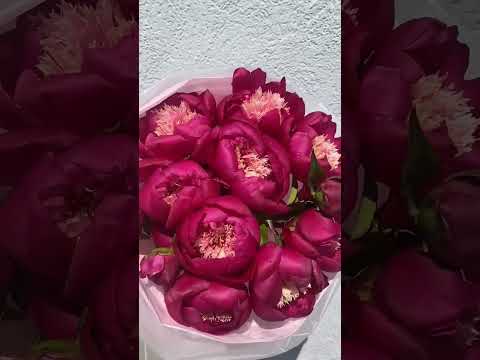 Букет Пионов от Максфлора, бесплатная доставка цветов по Раменскому #букет #доставкацветов #maxflora