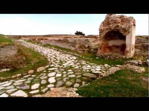 Paesaggi di un tempo perduto - Herdonia