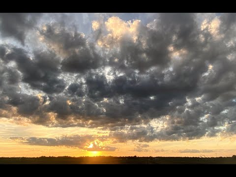 Roger Williams - Almost Paradise