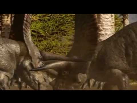 Torosaurus perforated lizard .