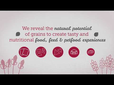 Find out more about Limagrain Ingredients