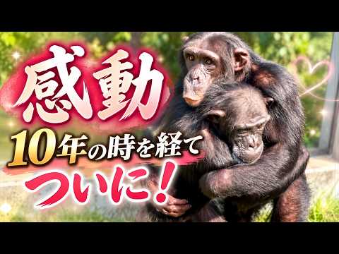 パンくん」のYahoo!リアルタイム検索 - X（旧Twitter）をリアルタイム検索