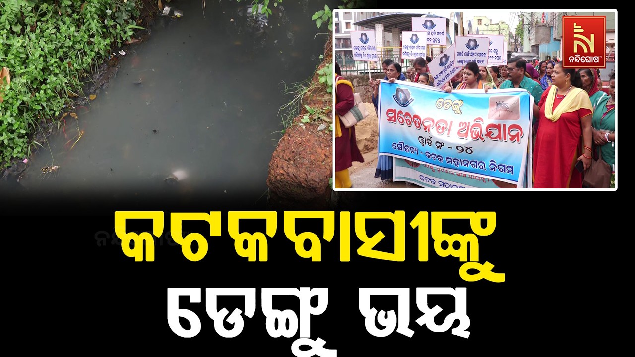 କଟକବାସୀଙ୍କୁ ଡେଙ୍ଗୁ ଭୟ  । NandighoshaTV