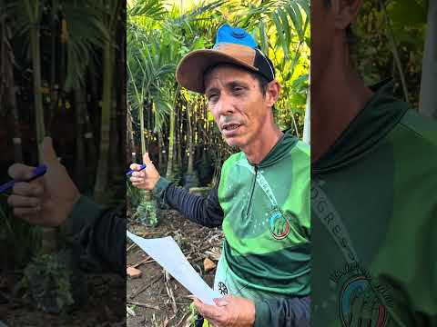 Mais um dia de viagens em todo Goiás #flores