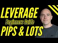 Forex Leverage for Beginners Explained (lot sizes and pips)