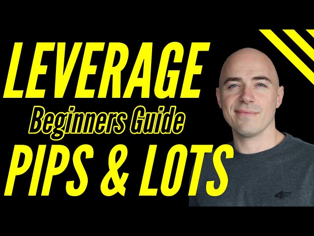 Understanding Forex Leverage A Beginner S Guide To Lot Sizes And Pips