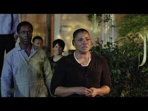 afbeelding Blackbird