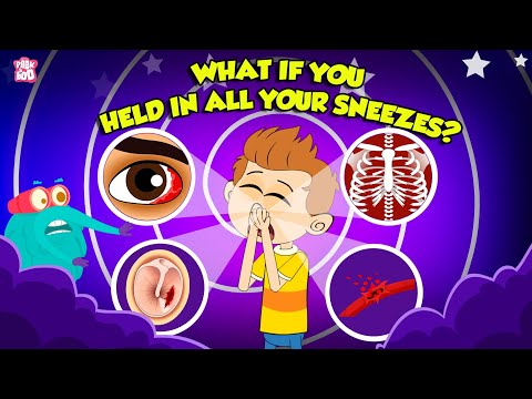 What If You Held in All Your Sneezes? | Is Sneezing Dangerous? | Why Do We Sneeze ? | Dr Binocs Show