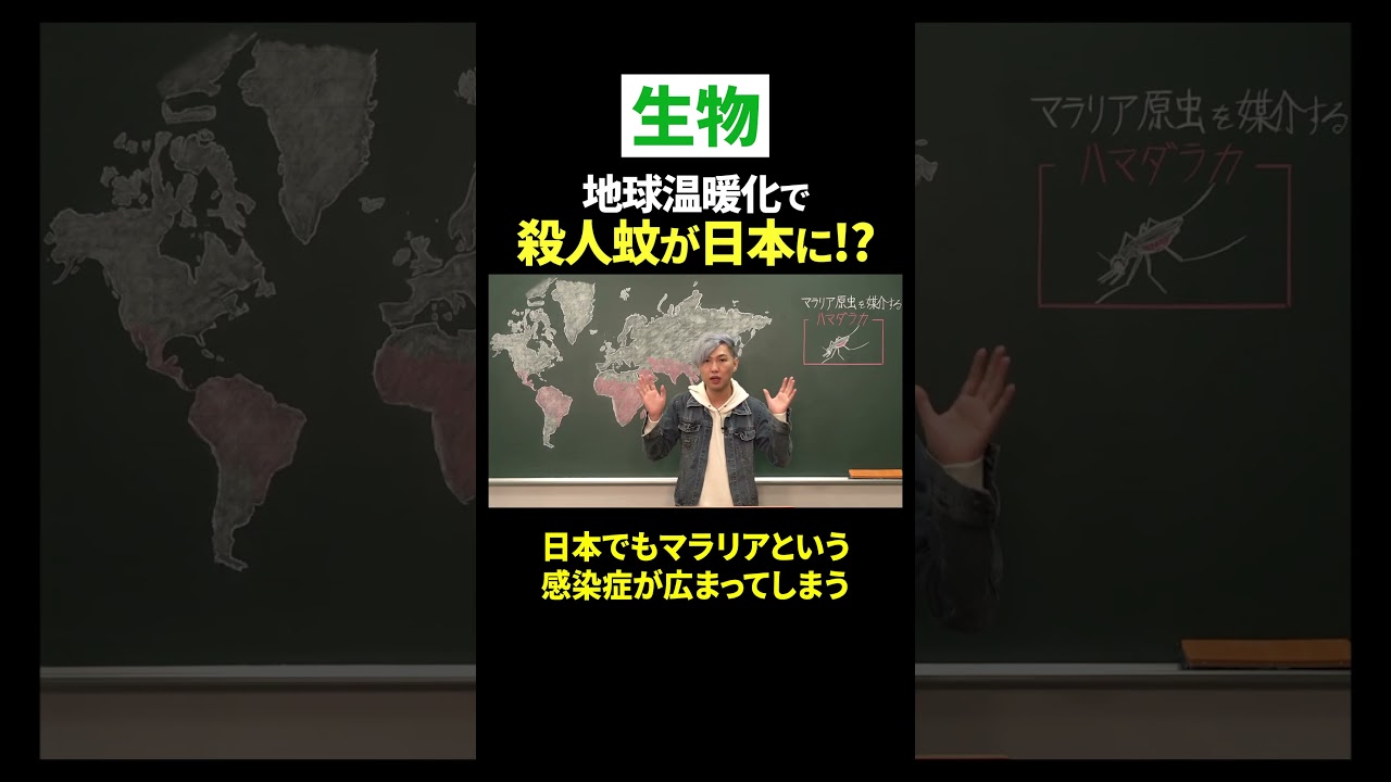 #地球温暖化 で殺人蚊、日本襲来 #shorts  #ただよび #蚊  #生物