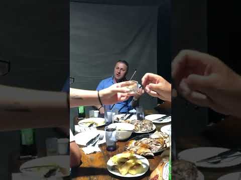 Milan Stajic Civcije