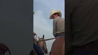 This Ain&#39;t Banner&#39;s First Rodeo! | The Incredible Hulk #shorts